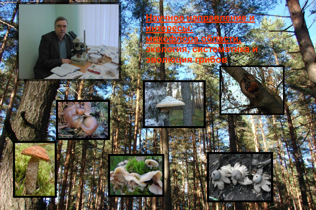 научные интересы.png